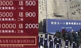 网友爆料日料视频下载,网友爆料背后的真相